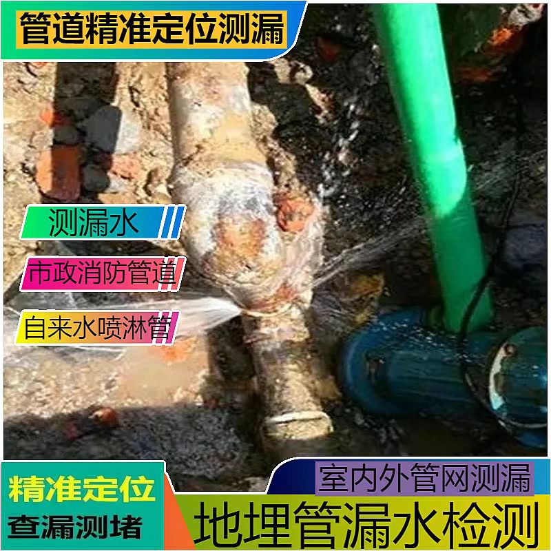 文章插图
